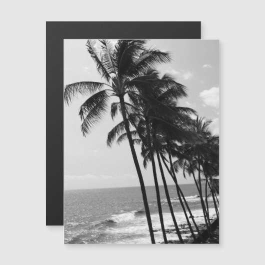 Briefkaart met zwarte en witte palmbomen (Voorkant / Achterkant)