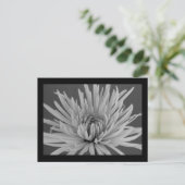 Briefkaart met zwarte en witte spinmum (Staand voorkant)