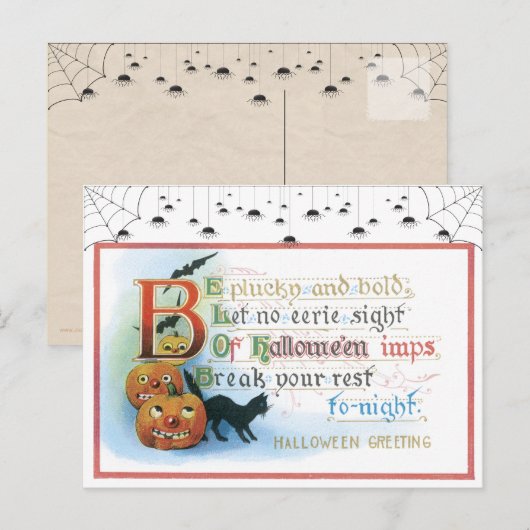  Briefkaart met zwarte kat (Voorkant / Achterkant)