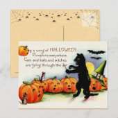 Briefkaart met zwarte kat, pompoenen, Halloween (Voorkant / Achterkant)