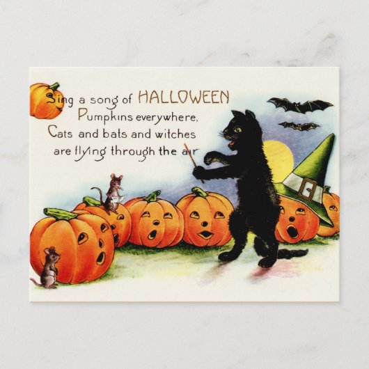Briefkaart met zwarte kat, pompoenen, Halloween (Voorkant)