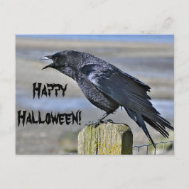 Briefkaart met zwarte kraaihaloenen