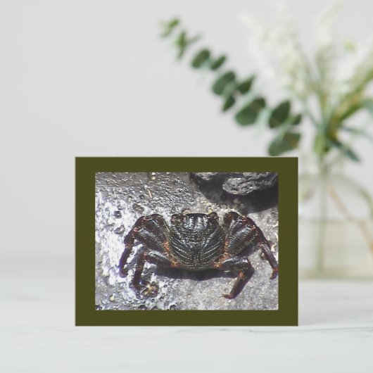 Briefkaart met zwarte krab (Staand voorkant)