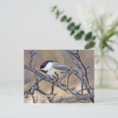 Briefkaart met zwarte lammeren (Staand voorkant)