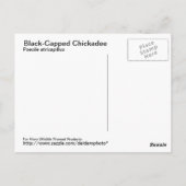 Briefkaart met zwarte lammeren (Achterkant)