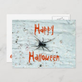 Briefkaart met zwarte spin (Voorkant / Achterkant)