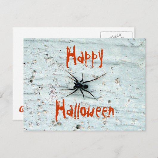 Briefkaart met zwarte spin (Voorkant / Achterkant)