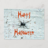 Briefkaart met zwarte spin (Voorkant)