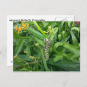 Briefkaart met zwarte vlinderstaart (Voorkant / Achterkant)