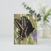Briefkaart met zwarte zweetstaart (Staand voorkant)