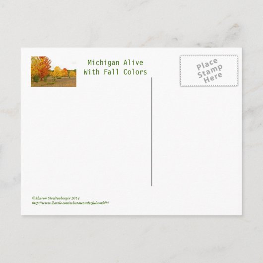 briefkaart "MICHIGAN KOMT TOT LEVEN MET LEVENDIGE  (Achterkant)