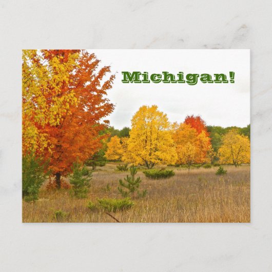 briefkaart "MICHIGAN KOMT TOT LEVEN MET LEVENDIGE  (Voorkant)
