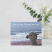 Briefkaart - Mijn haar wordt kroeshaar... (Staand voorkant)