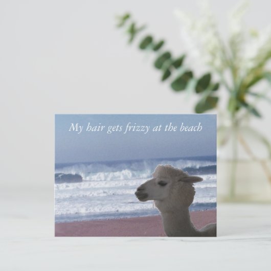 Briefkaart - Mijn haar wordt kroeshaar... (Staand voorkant)