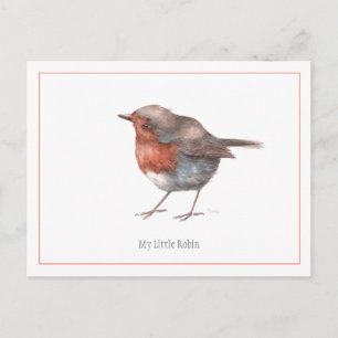 briefkaart "Mijn kleine Robin"