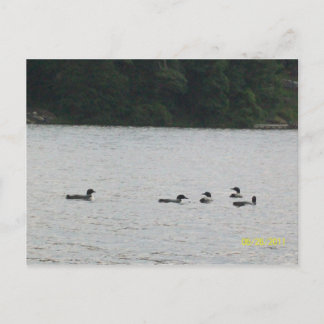 Briefkaart Minnesota