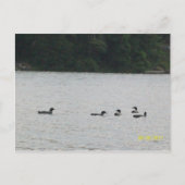 Briefkaart Minnesota (Voorkant)