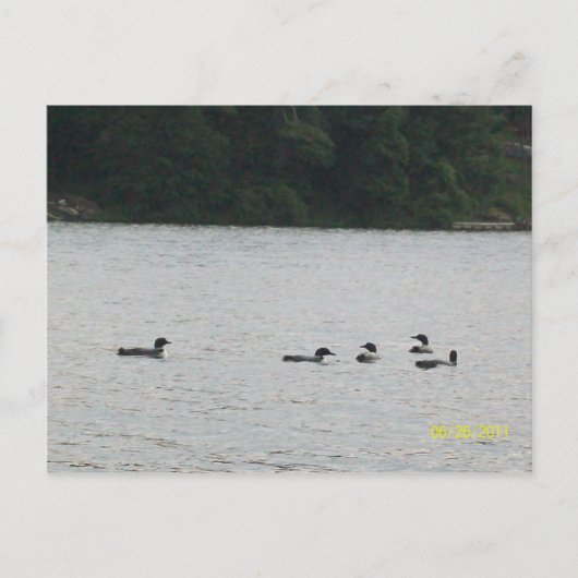 Briefkaart Minnesota (Voorkant)