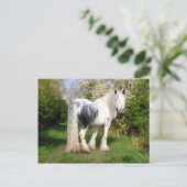 briefkaart "Mirabeau" (Staand voorkant)