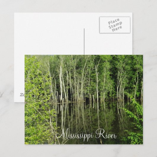 Briefkaart Mississippi (Voorkant / Achterkant)