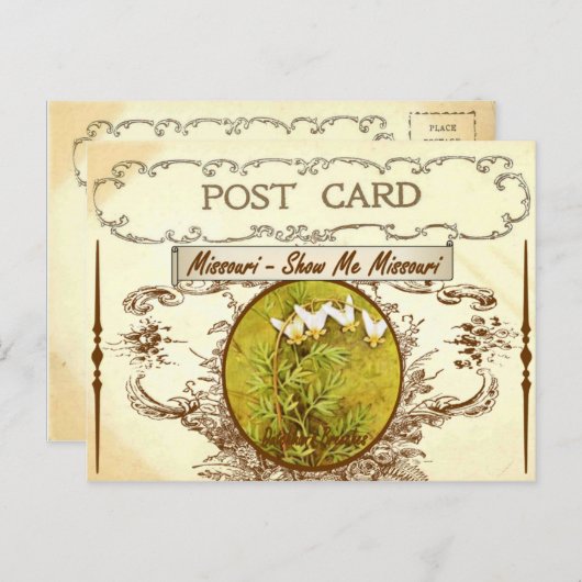 Briefkaart Missouri (Voorkant / Achterkant)