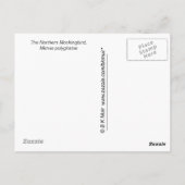 Briefkaart - Mockingvogel (Achterkant)
