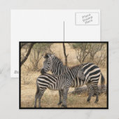 Briefkaart moeder en Baby (Voorkant / Achterkant)