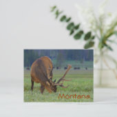 Briefkaart Montana (Staand voorkant)