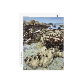 Briefkaart - Monterey, Californië