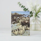 Briefkaart - Monterey, Californië (Staand voorkant)