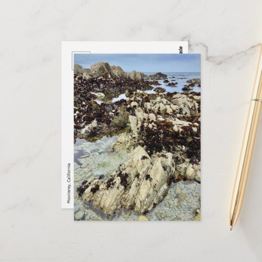 Briefkaart - Monterey, Californië (Voorkant / Achterkant in situ)