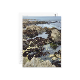 Briefkaart - Monterey, Californië