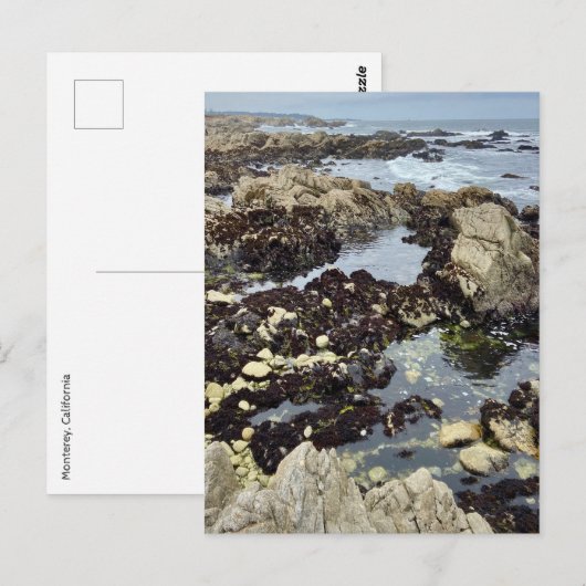 Briefkaart - Monterey, Californië (Voorkant / Achterkant)