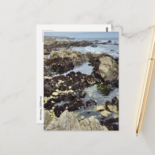 Briefkaart - Monterey, Californië (Voorkant / Achterkant in situ)