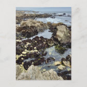 Briefkaart - Monterey, Californië (Voorkant)