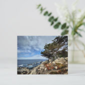 Briefkaart - Monterey, Californië (Staand voorkant)