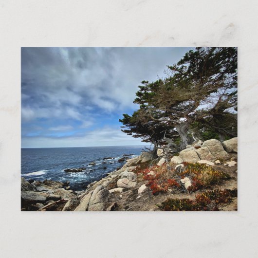 Briefkaart - Monterey, Californië (Voorkant)