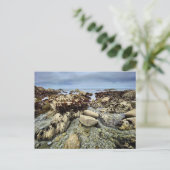 Briefkaart - Monterey, Californië (Staand voorkant)