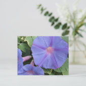 Briefkaart Morning Glory Flowers (Staand voorkant)