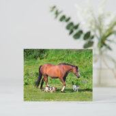 briefkaart "Morning Stroll" (Staand voorkant)