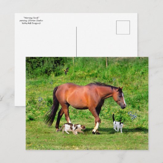 briefkaart "Morning Stroll" (Voorkant / Achterkant)