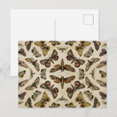 Briefkaart Moths (Voorkant / Achterkant)