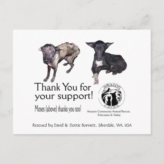 Briefkaart:  Mozes, voor en na zijn redding Briefkaart (Voorkant)