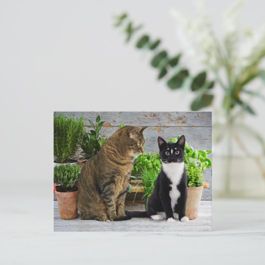 briefkaart "Muffin & Kells" (Staand voorkant)