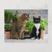 briefkaart "Muffin & Kells" (Voorkant)