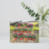 Briefkaart "Mums for Sale" (Staand voorkant)