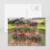 Briefkaart "Mums for Sale" (Voorkant / Achterkant)