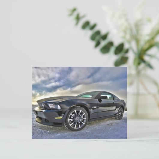 briefkaart Mustang (Staand voorkant)