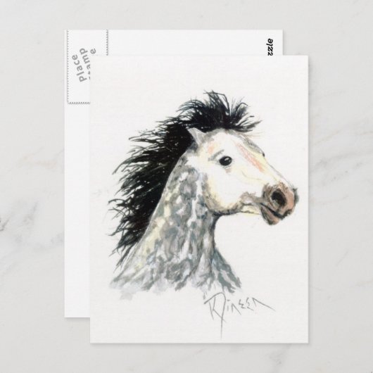 Briefkaart Mustang Horse (Voorkant / Achterkant)