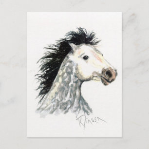 Briefkaart Mustang Horse